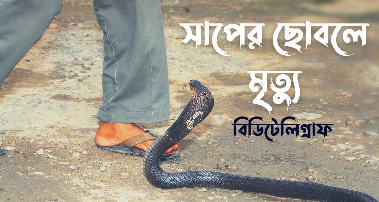 সাপের কামড়ে মৃত্যু