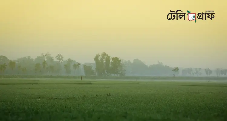 বাংলাদেশে শীতকাল