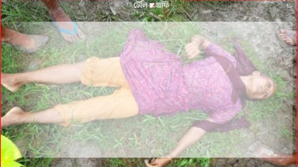 Women dies after electric shocks while cutting grass on the fields