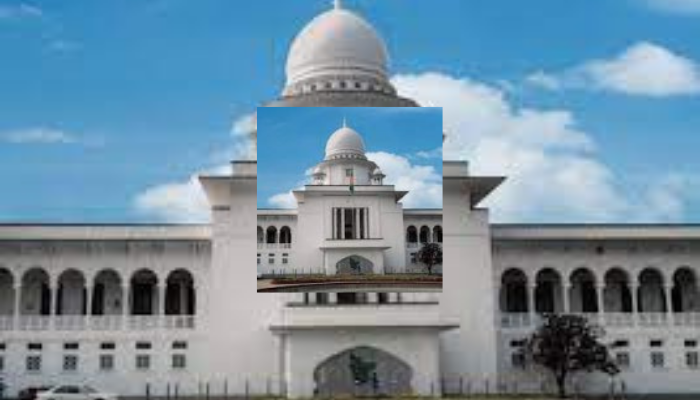 Hearing underway on petitions to revisit abolition of caretaker system Hearing underway on petitions to revisit abolition of caretaker system