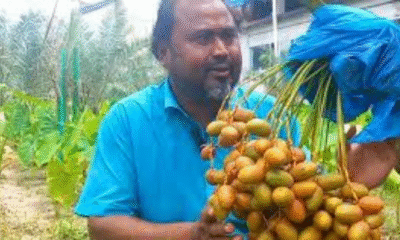 How a Farmer Turned Saudi Date Farming Skills into Local Prosperity