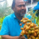 How a Farmer Turned Saudi Date Farming Skills into Local Prosperity