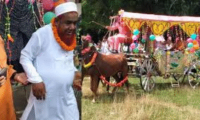 Royal farewell for retiring teacher in Chuadanga after 30 years of service