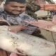 25-kg Pangas Caught in Padma, Sold for Tk 63,000