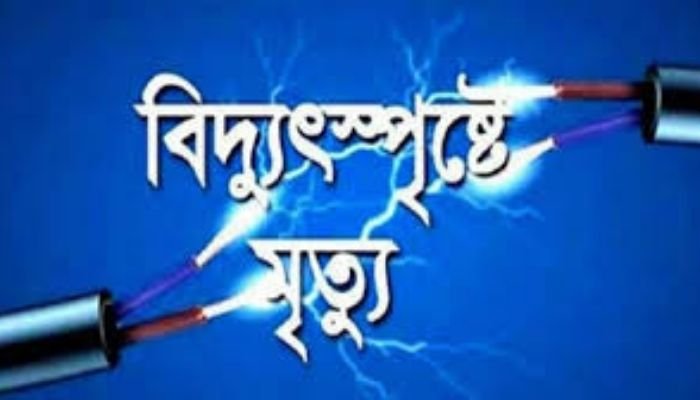 Tragic accident in Kaliganj: four electrocuted, two dead