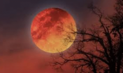 Moon Turns Red for 82 Minutes in Year’s Second Total Lunar Eclipse