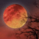 Moon Turns Red for 82 Minutes in Year’s Second Total Lunar Eclipse