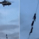 Viral video shows ministers fleeing on military helicopter ropes