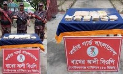 BGB seizes heroin worth Tk 38 million from Padma River in Chapainawabganj