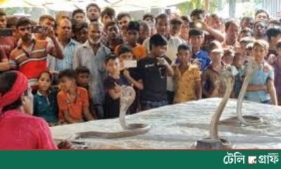 Centuries-old ‘Jhapan Snake Game’ Revives Rural Tradition in Jhenaidah’s Vhairaba Bazar
