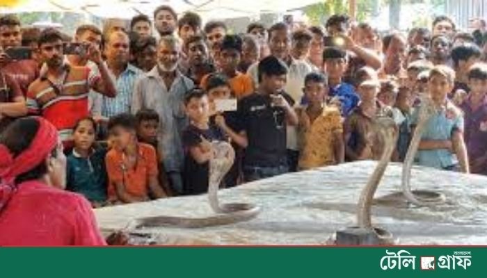 Centuries-old ‘Jhapan Snake Game’ Revives Rural Tradition in Jhenaidah’s Vhairaba Bazar Centuries-old ‘Jhapan Snake Game’ Revives Rural Tradition in Jhenaidah’s Vhairaba Bazar