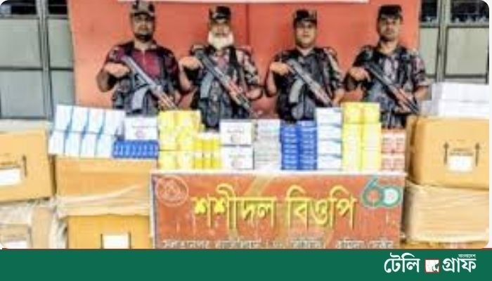 BGB Seizes Tk 5.2 Million Worth of Indian Medicines at Cumilla Border