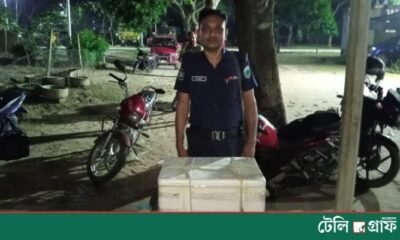 Woman Accused of Killing Cat in Bogura; Police Launch Investigation