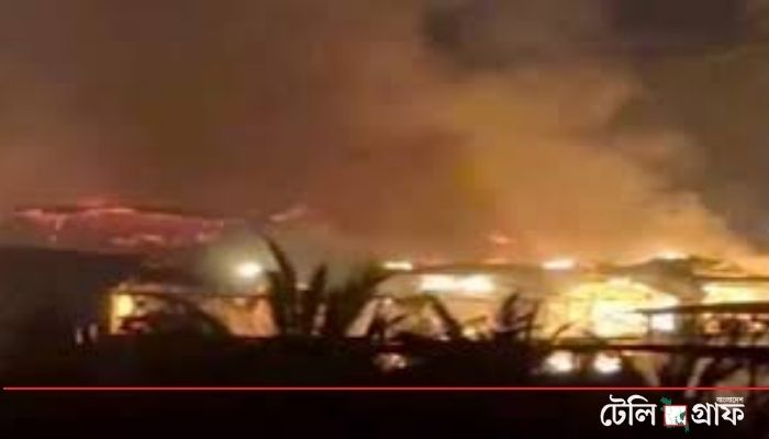 Goa Nightclub Inferno: At Least 23 Killed, Including Tourists and Staff; Gas Cylinder Explosion Suspected.